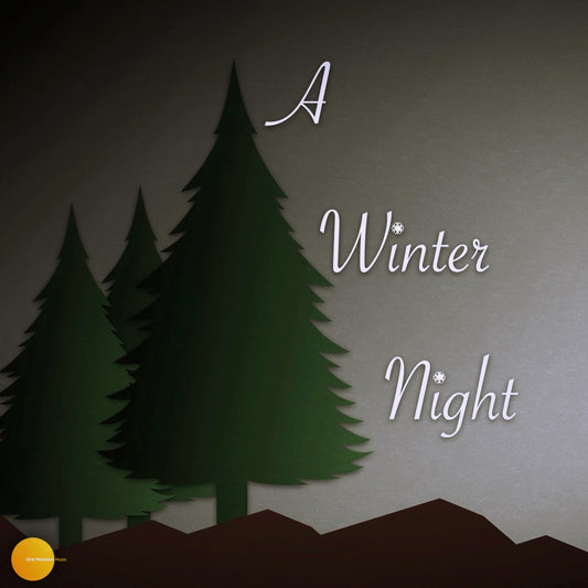 A Winter Night